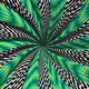 225000808