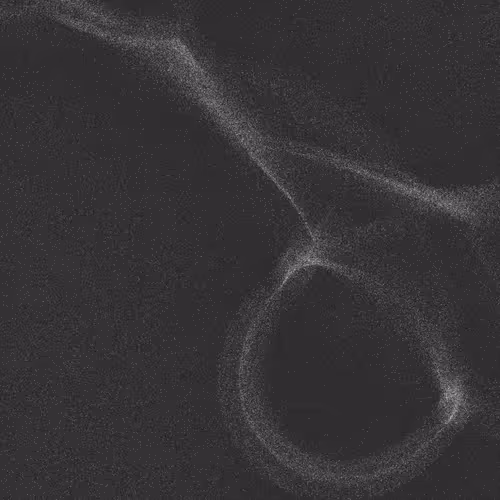 Item #320000038 Media