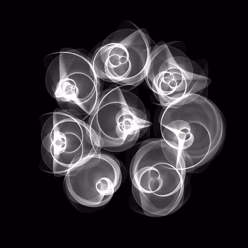 Flowers #2865