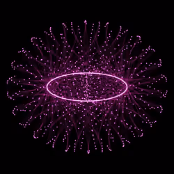 Nucleus #421