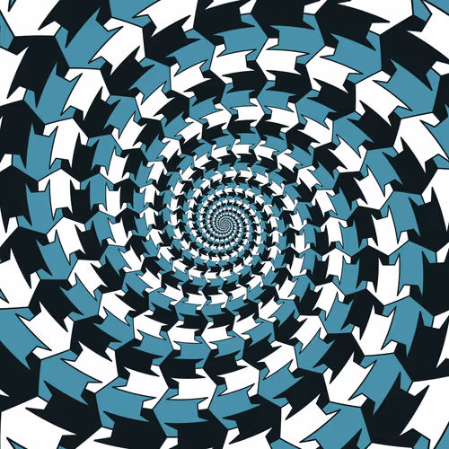 Item #29000578 Media