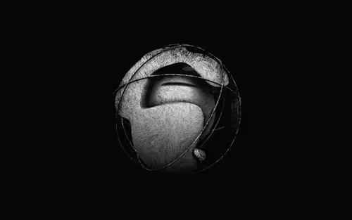 Item #258000189 Media