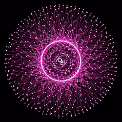 Nucleus #53