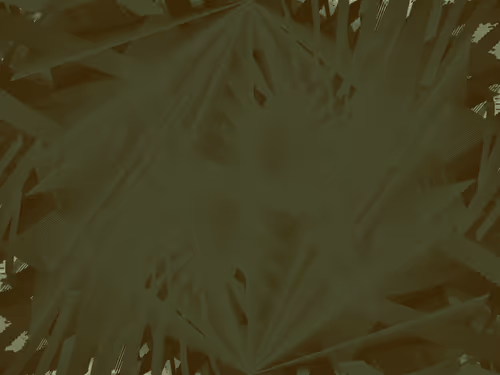 Item #309000574 Media