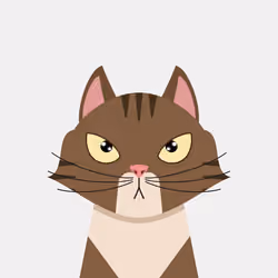 CatBlocks #43