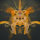 Latent Spirits #183
