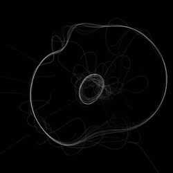 Phototaxis #686