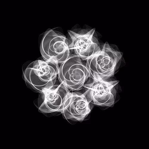 Flowers #5088