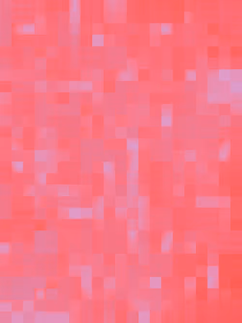 Item #332000337 Media