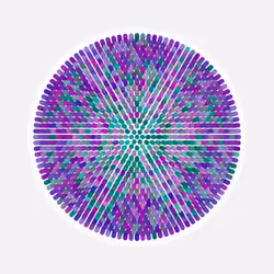 Transitions #180
