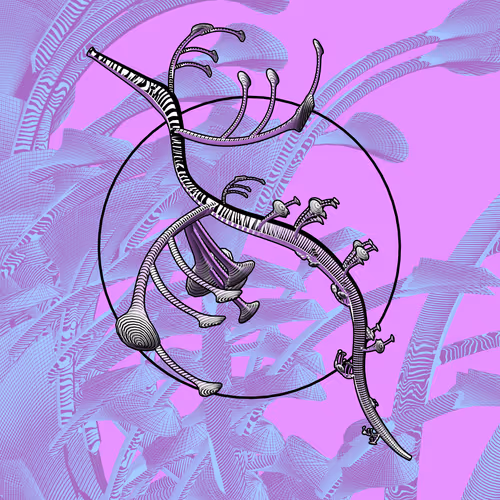 Seadragons #856