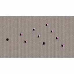 Item #138000807 Media