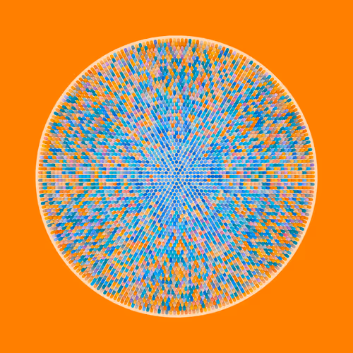 Transitions #1653