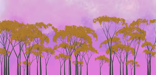 Item #254000049 Media