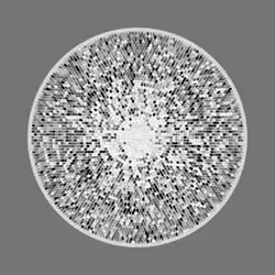 Transitions #3263