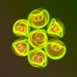Flowers #4877