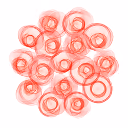 Flowers #2698