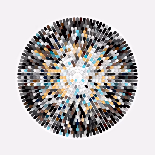 Transitions By Jason Ting X Matt Bilfield