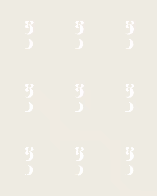 Item #206000528 Media