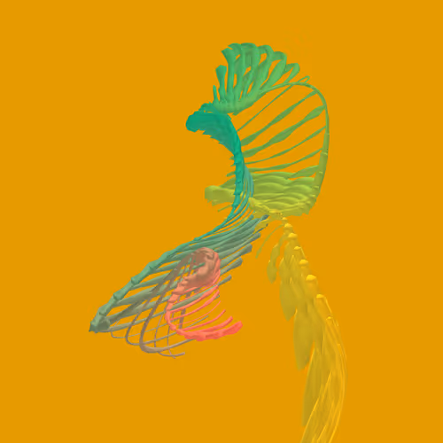 Item #268000006 Media