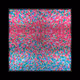 117002991
