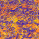 Fragments of an Infinite Field #147