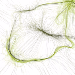 Phototaxis #715