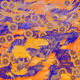 Fragments of an Infinite Field #254