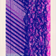 365000037