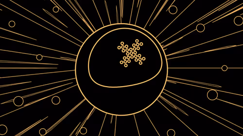 Item #285000256 Media