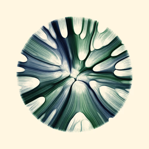 Item #96000025 Media