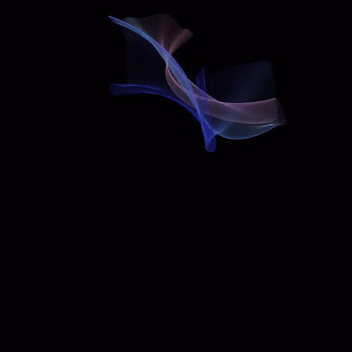 Item #60000247 Media