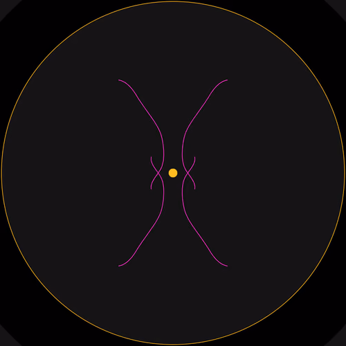 Petri #147