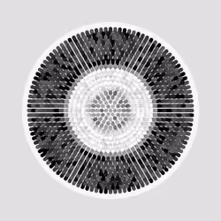 Transitions #1065