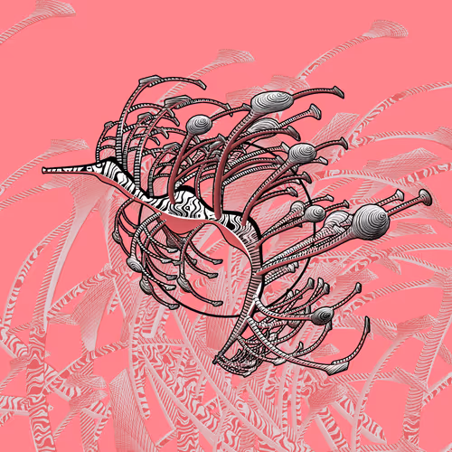 Seadragons #439