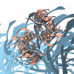 Seadragons #356