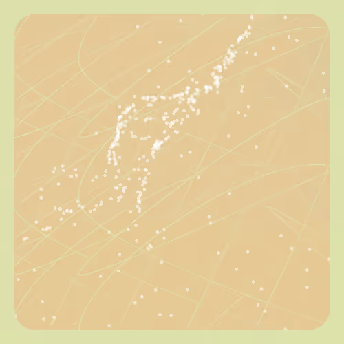 Item #278001009 Media