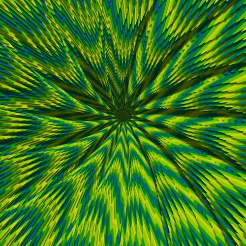 Vortex #881