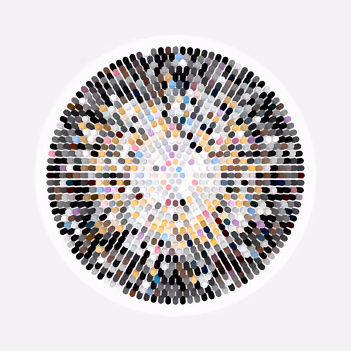 Transitions By Jason Ting X Matt Bilfield