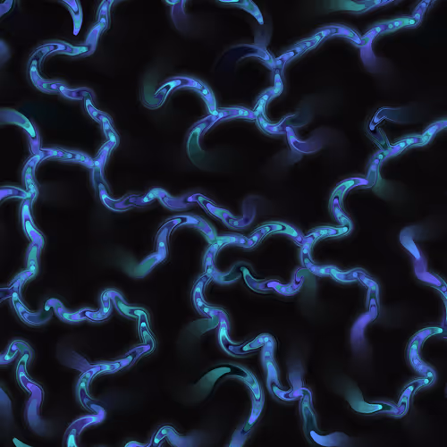 Item #269000082 Media