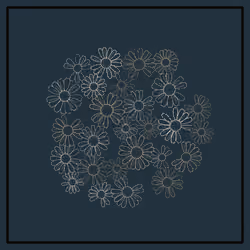 Daisies #67