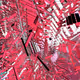 169000051