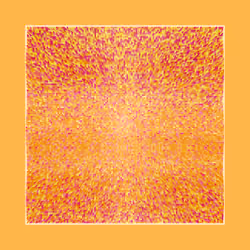 Transitions #4629