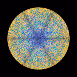Transitions #1354