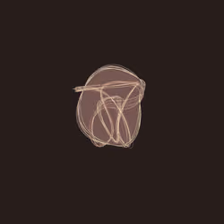 Tangled #231