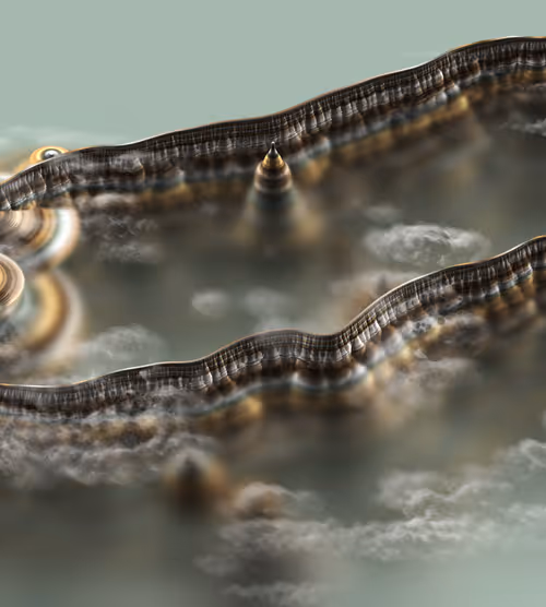 Item #291000089 Media