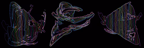 Item #302000322 Media