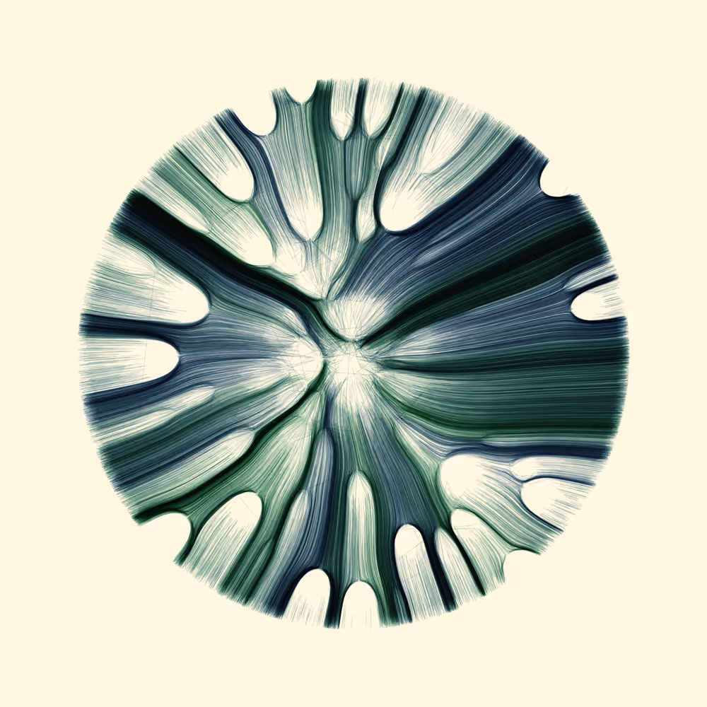 Gravity 12 #484