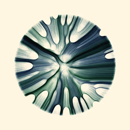Gravity 12 #484