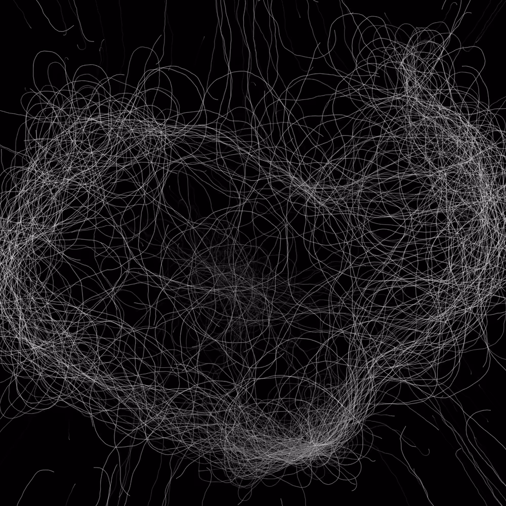 Phototaxis #970